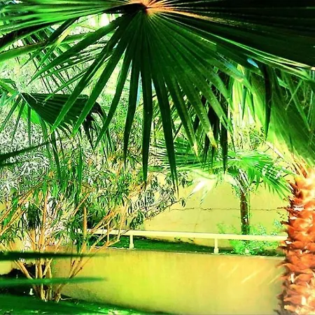 Apartament La Pearl *